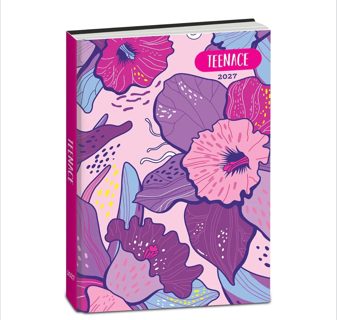 Teenace- Diario pocket 12 mesi modelli assortiti 2026/27