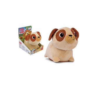Carletto corre furbetto gattona con me