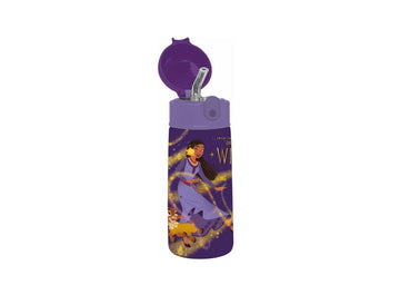 Disney Wish- borraccia termica 460ml 2024/25